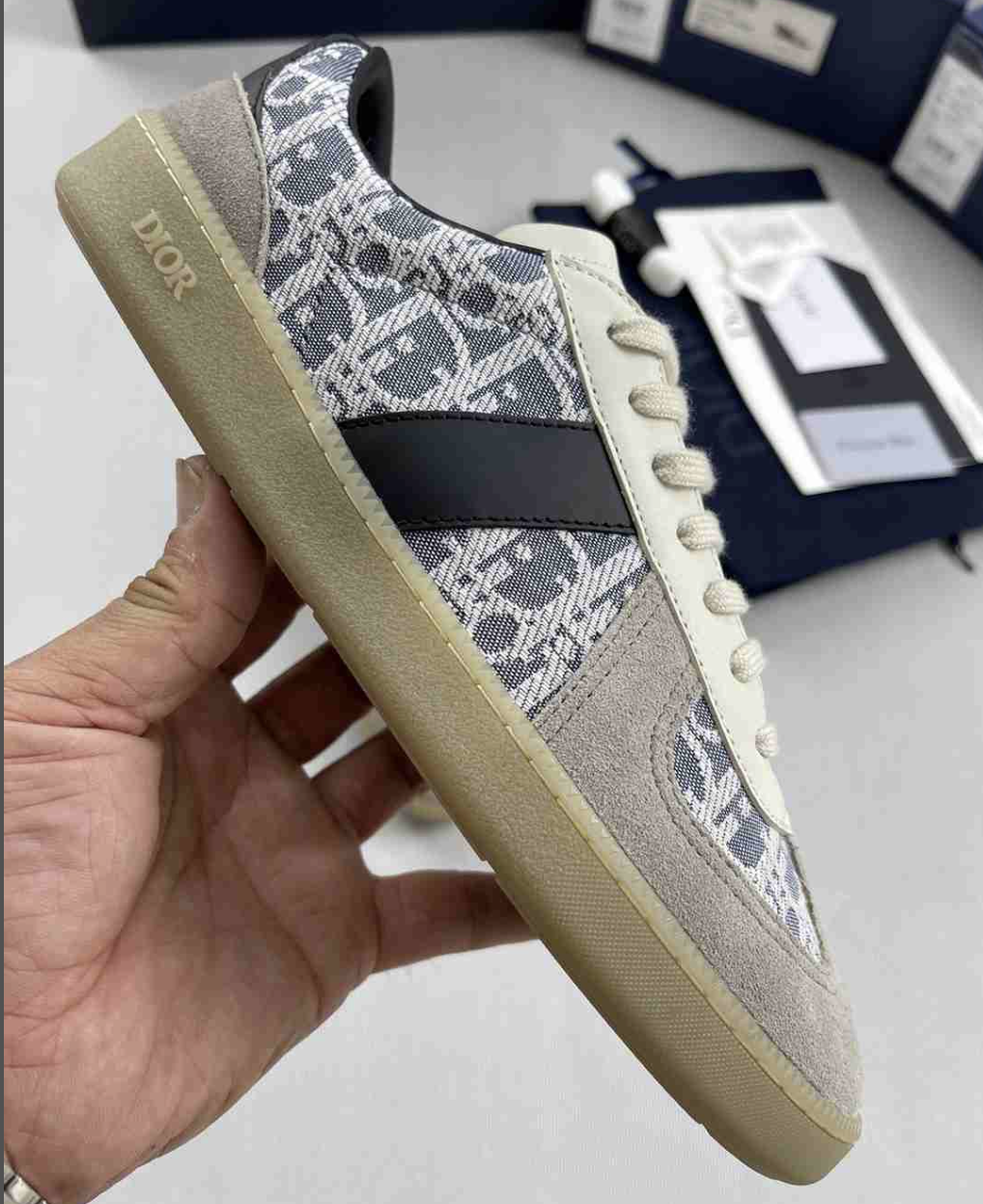 Dior B01 Oblique Beige — vista principal